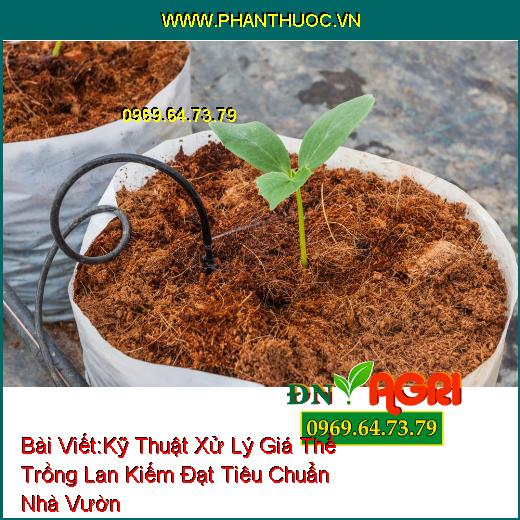 Kỹ Thuật Xử Lý Giá Thể Trồng Lan Kiếm Đạt Tiêu Chuẩn Nhà Vườn