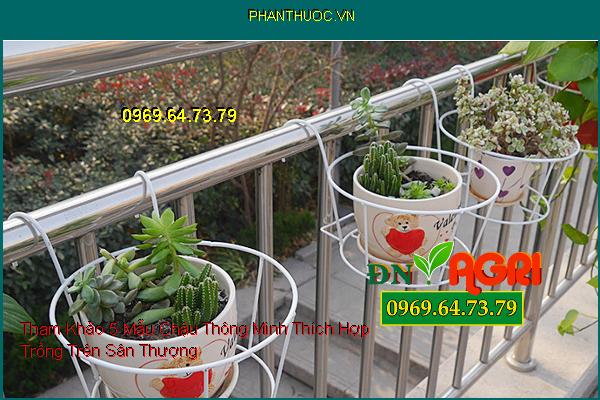 Tham Khảo 5 Mẫu Chậu Thông Minh Thích Hợp Trồng Trên Sân Thượng