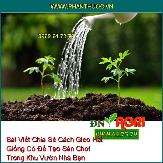 Chia Sẻ Cách Gieo Hạt Giống Cỏ Để Tạo Sân Chơi Trong Khu Vườn Nhà Bạn