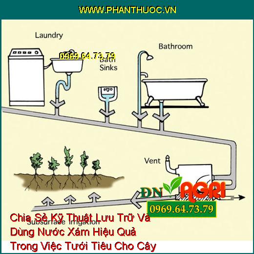 Chia Sẻ Kỹ Thuật Lưu Trữ Và Dùng Nước Xám Hiệu Quả Trong Việc Tưới Tiêu Cho Cây