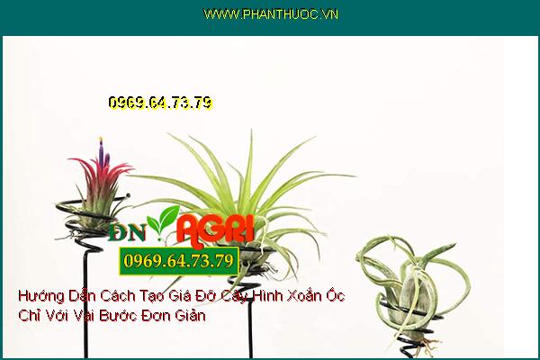 Hướng Dẫn Cách Tạo Giá Đỡ Cây Hình Xoắn Ốc Chỉ Với Vài Bước Đơn Giản