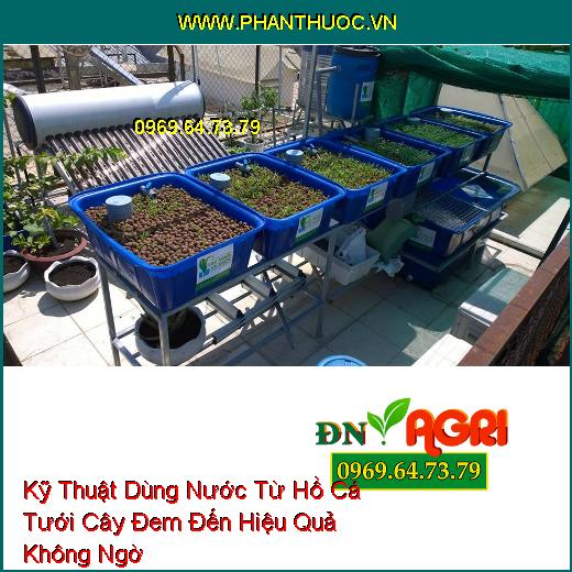 Kỹ Thuật Dùng Nước Từ Hồ Cá Tưới Cây Đem Đến Hiệu Quả Không Ngờ