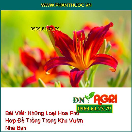 Những Loại Hoa Phù Hợp Để Trồng Giúp Khu Vườn Nhỏ Của Bạn Trở Nên Lung Linh Hơn