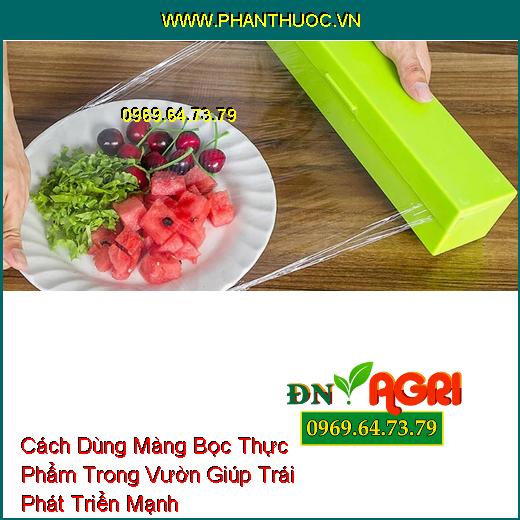 Cách Dùng Màng Bọc Thực Phẩm Trong Vườn Giúp Trái Phát Triển Mạnh 