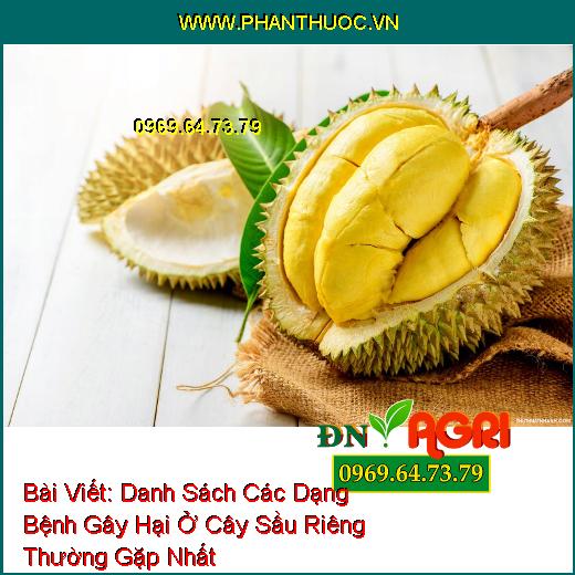 Bệnh nấm hồng do nấm gây nên ở sầu riêng