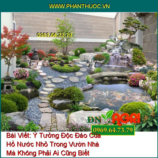 Ý Tưởng Độc Đáo Của Hồ Nước Nhỏ Trong Vườn Nhà Mà Không Phải Ai Cũng Biết