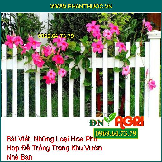 Những Loại Hoa Phù Hợp Để Trồng Giúp Khu Vườn Nhỏ Của Bạn Trở Nên Lung Linh Hơn