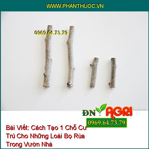 Cách Tạo 1 Chỗ Cư Trú Cho Những Loài Bọ Rùa Trong Vườn Nhà