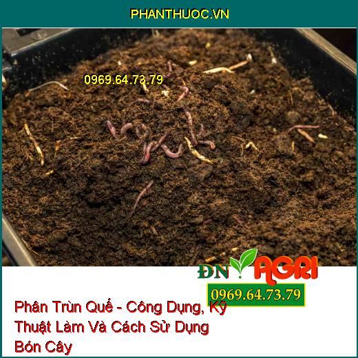 Phân Trùn Quế - Công Dụng, Kỹ Thuật Làm Và Cách Sử Dụng Bón Cây