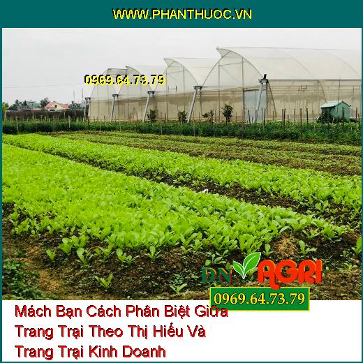 Mách Bạn Cách Phân Biệt Giữa Trang Trại Theo Thị Hiếu Và Trang Trại Kinh Doanh