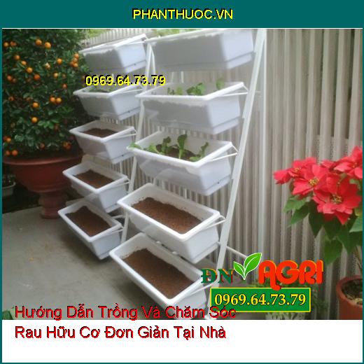 Hướng Dẫn Trồng Và Chăm Sóc Rau Hữu Cơ Đơn Giản Tại Nhà