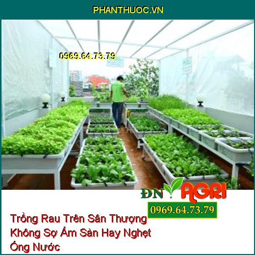 Trồng Rau Trên Sân Thượng Không Sợ Ẩm Sàn Hay Nghẹt Ống Nước