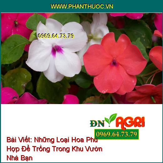 Những Loại Hoa Phù Hợp Để Trồng Giúp Khu Vườn Nhỏ Của Bạn Trở Nên Lung Linh Hơn