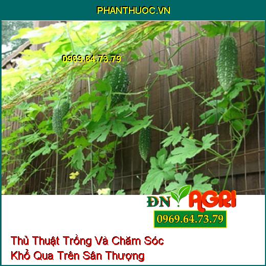 Thủ Thuật Trồng Và Chăm Sóc Khổ Qua Trên Sân Thượng 