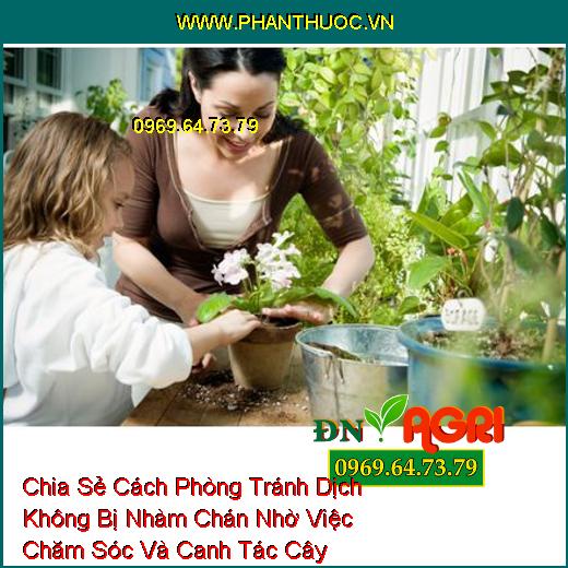 Chia Sẻ Cách Phòng Tránh Dịch Không Bị Nhàm Chán Nhờ Việc Chăm Sóc Và Canh Tác Cây Trong Nhà