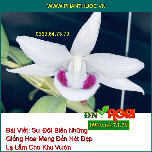 Sự Đột Biến Những Giống Hoa Mang Đến Nét Đẹp Lạ Lẫm Cho Khu Vườn