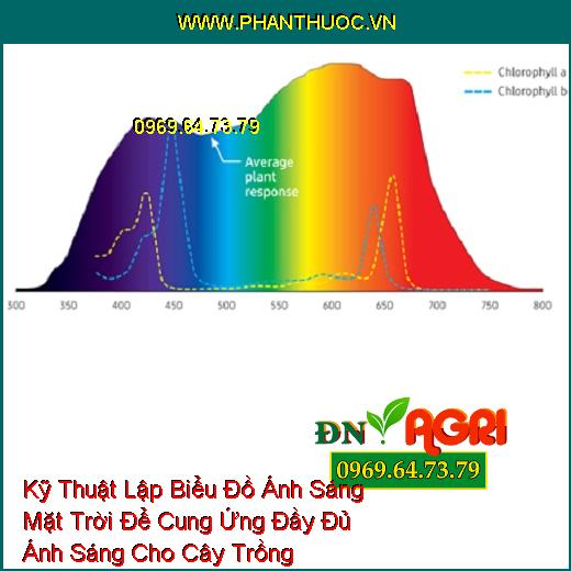 Kỹ Thuật Lập Biểu Đồ Ánh Sáng Mặt Trời Để Cung Ứng Đầy Đủ Ánh Sáng Cho Cây Trồng