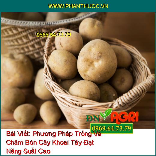 Phương Pháp Trồng Và Chăm Bón Cây Khoai Tây Đạt Năng Suất Cao