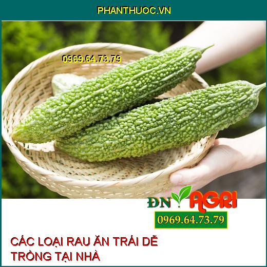 CÁC LOẠI RAU ĂN TRÁI DỄ TRỒNG TẠI NHÀ