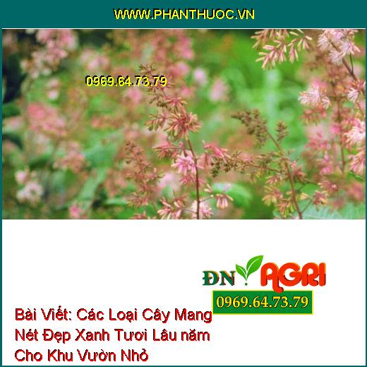 Các Loại Cây Mang Nét Đẹp Xanh Tươi Lâu năm Cho Khu Vườn Nhỏ