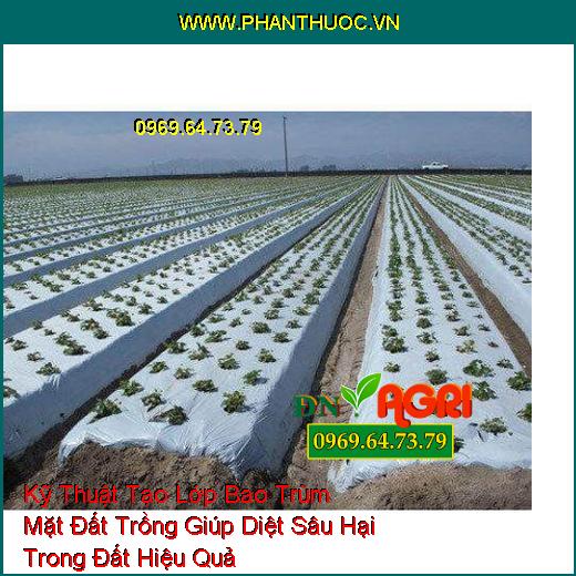 Kỹ Thuật Tạo Lớp Bao Trùm Mặt Đất Trồng Giúp Diệt Sâu Hại Trong Đất Hiệu Quả