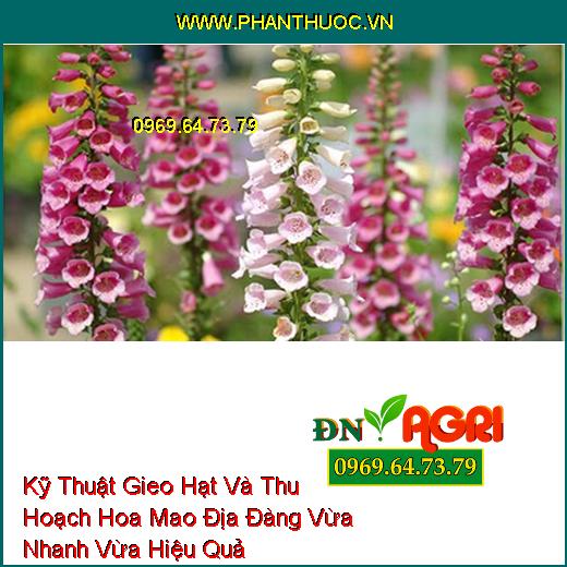 Kỹ Thuật Gieo Hạt Và Thu Hoạch Hoa Mao Địa Đàng Vừa Nhanh Vừa Hiệu Quả