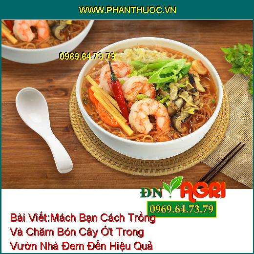 Mách Bạn Cách Trồng Và Chăm Bón Cây Ớt Trong Vườn Nhà Đem Đến Hiệu Quả Cao Mà Bạn Nên Biết