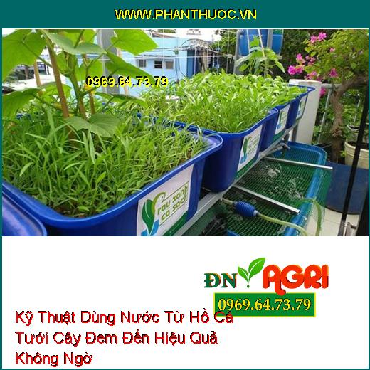 Kỹ Thuật Dùng Nước Từ Hồ Cá Tưới Cây Đem Đến Hiệu Quả Không Ngờ