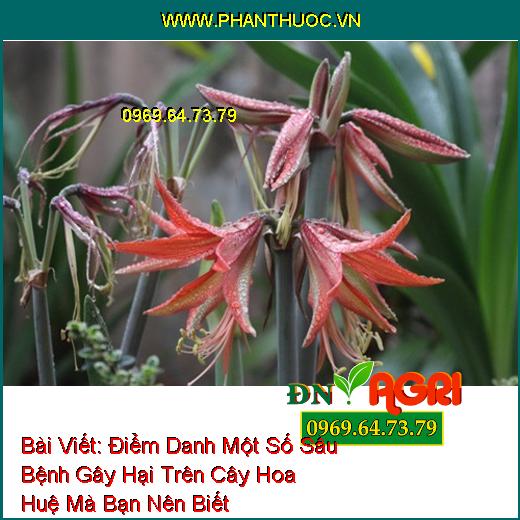 Điểm Danh Một Số Sâu Bệnh Gây Hại Trên Cây Hoa Huệ Mà Bạn Nên Biết