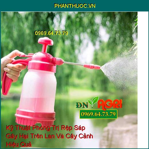 Kỹ Thuật Phòng Trị Rệp Sáp Gây Hại Trên Lan Và Cây Cảnh Hiệu Quả