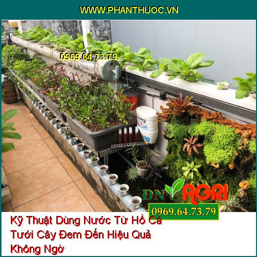 Kỹ Thuật Dùng Nước Từ Hồ Cá Tưới Cây Đem Đến Hiệu Quả Không Ngờ