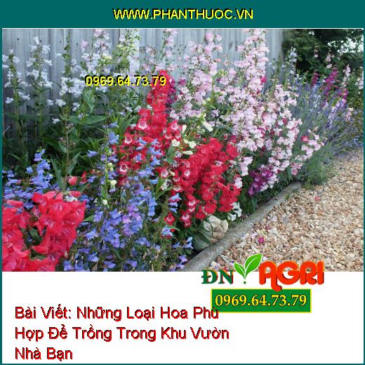 Những Loại Hoa Phù Hợp Để Trồng Giúp Khu Vườn Nhỏ Của Bạn Trở Nên Lung Linh Hơn