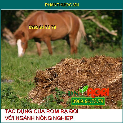 TÁC DỤNG CỦA RƠM RẠ ĐỐI VỚI NGÀNH NÔNG NGHIỆP