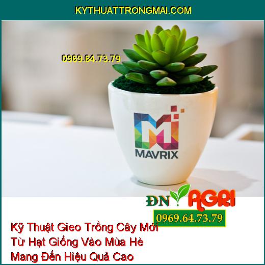 Kỹ Thuật Gieo Trồng Cây Mới Từ Hạt Giống Vào Mùa Hè Mang Đến Hiệu Quả Cao