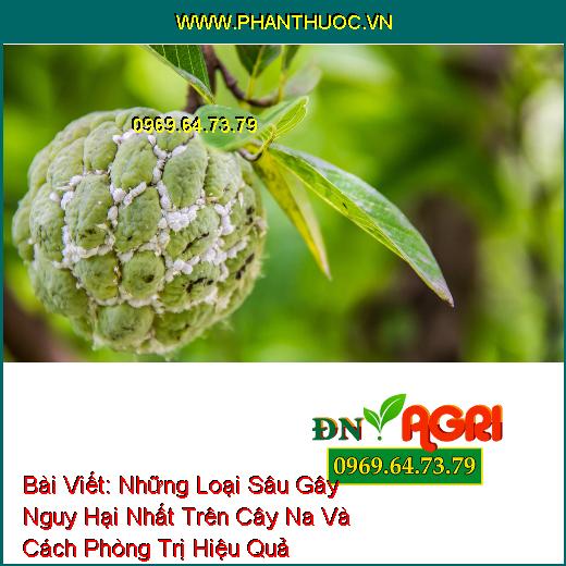 Những Loại Sâu Gây Nguy Hại Nhất Trên Cây Na Và Cách Phòng Trị Hiệu Quả