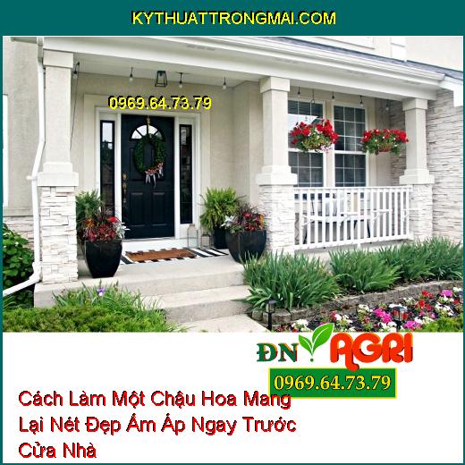 Cách Làm Một Chậu Hoa Mang Lại Nét Đẹp Ấm Áp Ngay Trước Cửa Nhà