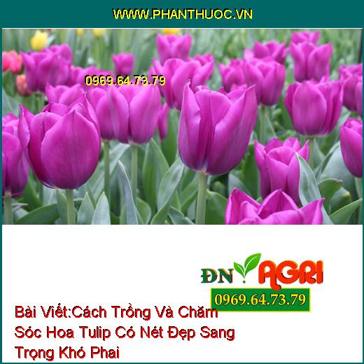 WWW.PhanThuoc.VN