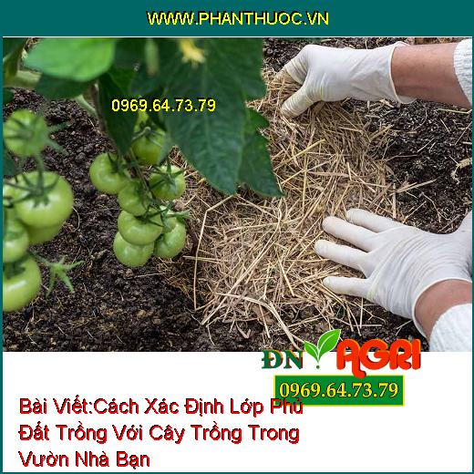 Cách Xác Định Lớp Phủ Đất Trồng Với Cây Trồng Trong Vườn Nhà Bạn