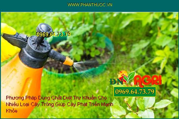 Phương Pháp Dùng Chất Diệt Trừ Khuẩn Cho Nhiều Loại Cây Trồng Giúp Cây Phát Triển Mạnh Khỏe