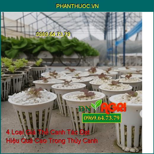 4 Loại Giá Thể Canh Tác Đạt Hiệu Quả Cao Trong Thủy Canh