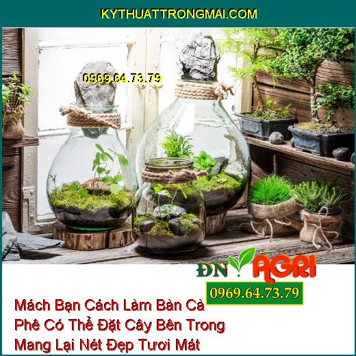 Mách Bạn Cách Làm Bàn Cà Phê Có Thể Đặt Cây Bên Trong Mang Lại Nét Đẹp Tươi Mát 