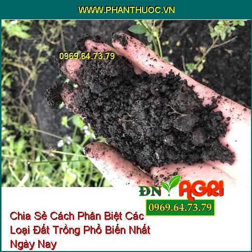 Chia Sẻ Cách Phân Biệt Các Loại Đất Trồng Phổ Biến Nhất Ngày Nay 