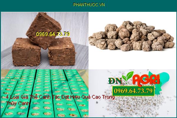 4 Loại Giá Thể Canh Tác Đạt Hiệu Quả Cao Trong Thủy Canh