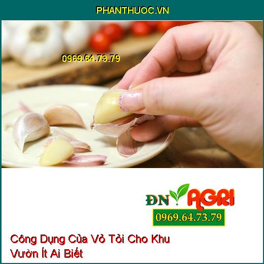 Công Dụng Của Vỏ Tỏi Cho Khu Vườn Ít Ai Biết