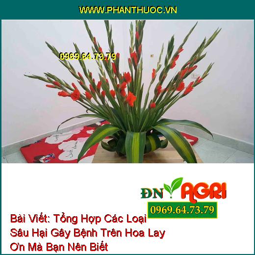 Tổng Hợp Các Loại Sâu Hại Gây Bệnh Trên Hoa Lay Ơn Mà Bạn Nên Biết