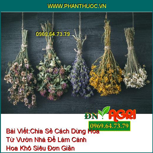 Chia Sẻ Cách Dùng Hoa Từ Vườn Nhà Để Làm Cành Hoa Khô Siêu Đơn Giản