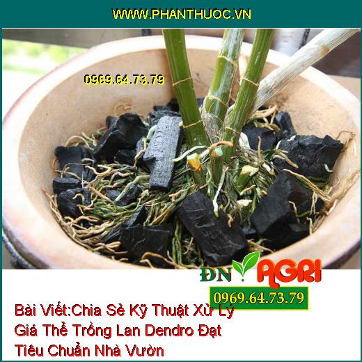 Chia Sẻ Kỹ Thuật Xử Lý Giá Thể Trồng Lan Dendro Đạt Tiêu Chuẩn Nhà Vườn