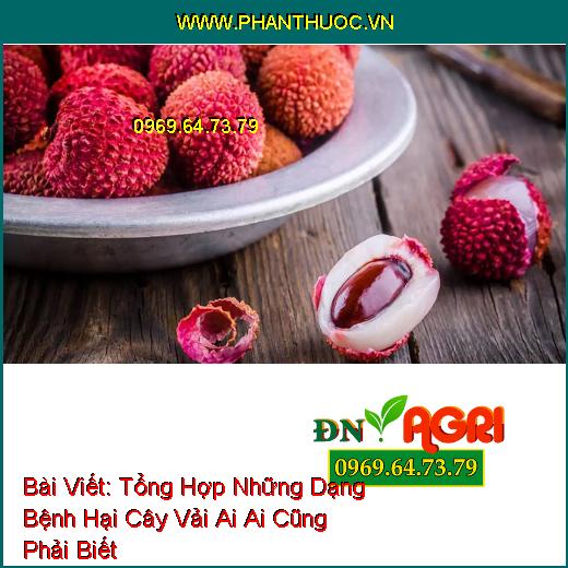 Tổng Hợp Những Dạng Bệnh Hại Cây Vải Ai Ai Cũng Phải Biết 