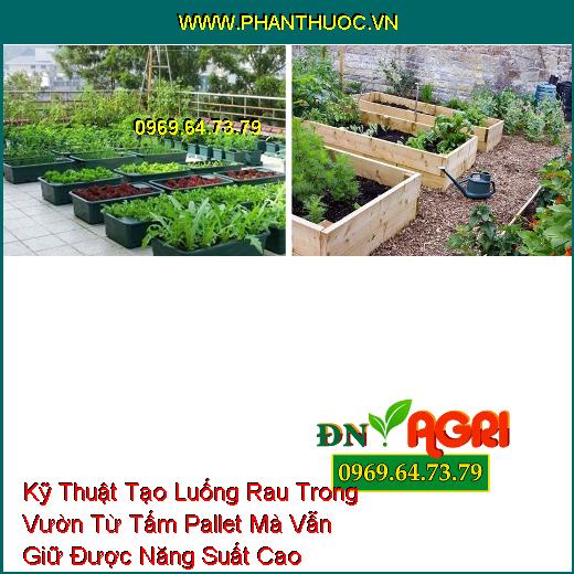 Kỹ Thuật Tạo Luống Rau Trong Vườn Từ Tấm Pallet Mà Vẫn Giữ Được Năng Suất Cao