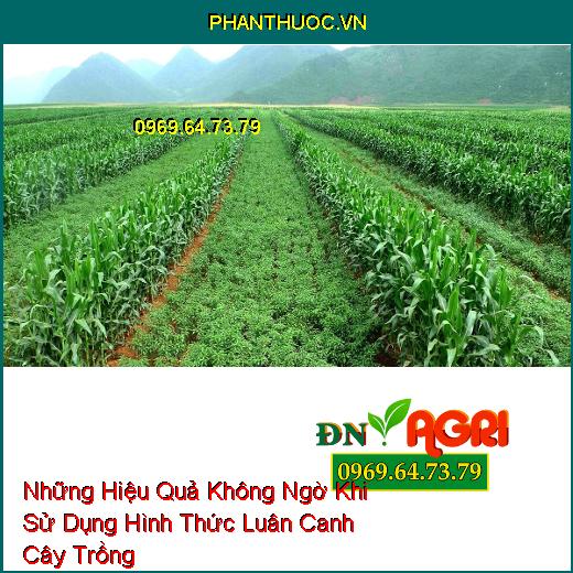 Những Hiệu Quả Không Ngờ Khi Sử Dụng Hình Thức Luân Canh Cây Trồng